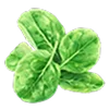 🥬