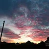🌅