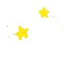 ✨
