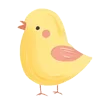 🐤