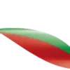 🇧🇾