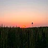 🌅