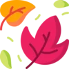🍂