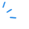🔹