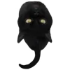 🐈‍⬛