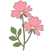 🌷