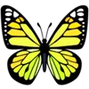 🦋