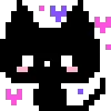 🐈‍⬛