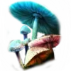 🍄