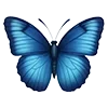 🦋
