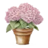 🪴