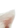 ⭐