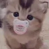 🫃
