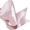 🎀
