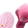 ⭐