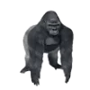 🦍