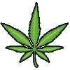 🌿