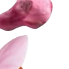 ⭐