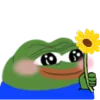 🌼