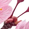 ⭐