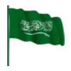 🇸🇦