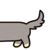 🐶