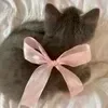 🎀