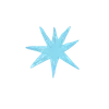 🌟