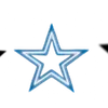 🌟