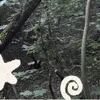 🌟
