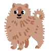 🐶