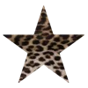 ⭐️