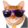 😎