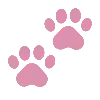 🐾