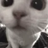 😗
