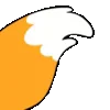 🦊