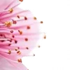 ⭐