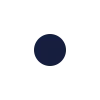 🔹