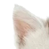 ⭐