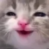 😁