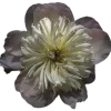 🤩