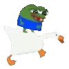 🦆