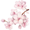🌸