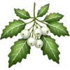 🎄