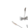 ⭐