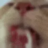 😮‍💨