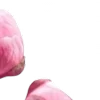 ⭐