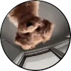 🐕