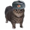 🇷🇺