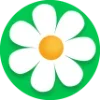 🌷